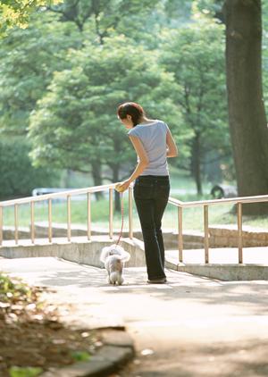 札幌西区にある緑の森どうぶつ病院AZem札幌発寒：休診なしの総合動物医療施設