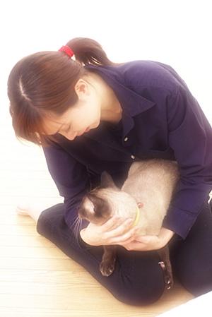 土日祝日も対応可能！信頼と実績のシロアリ駆除サービス｜アサンテの特徴と店舗情報