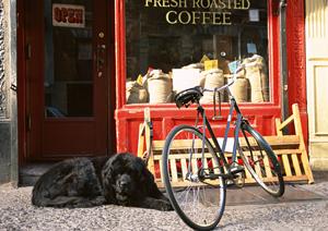 シロアリ駆除の信頼と実績!アサンテが提供する土日祝日も対応可能な即日サービス